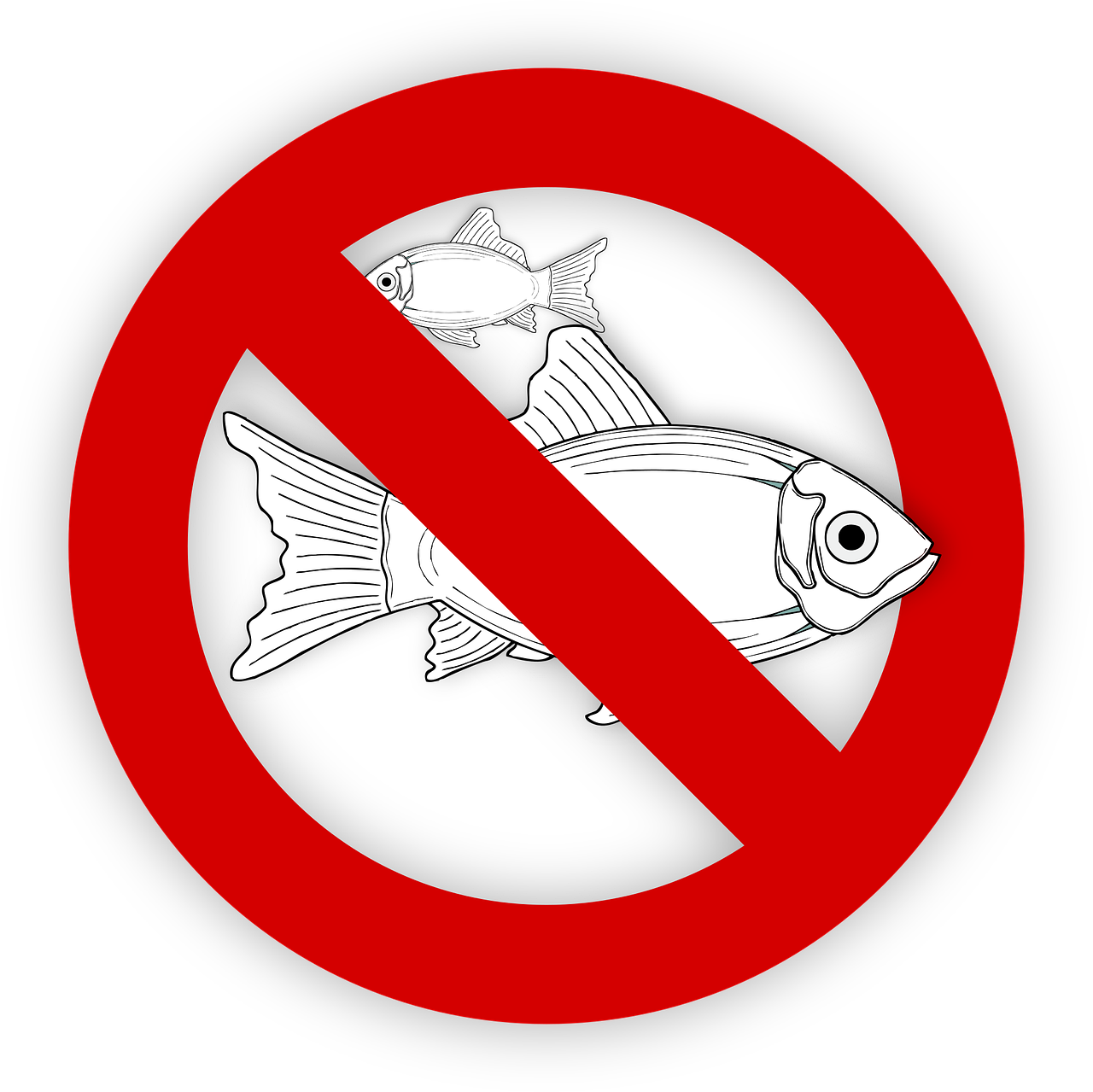 pixabay-995050-89.png